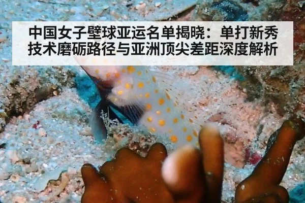 中国女子壁球亚运名单揭晓:单打新秀技术磨砺路径与亚洲顶尖差距深度解析